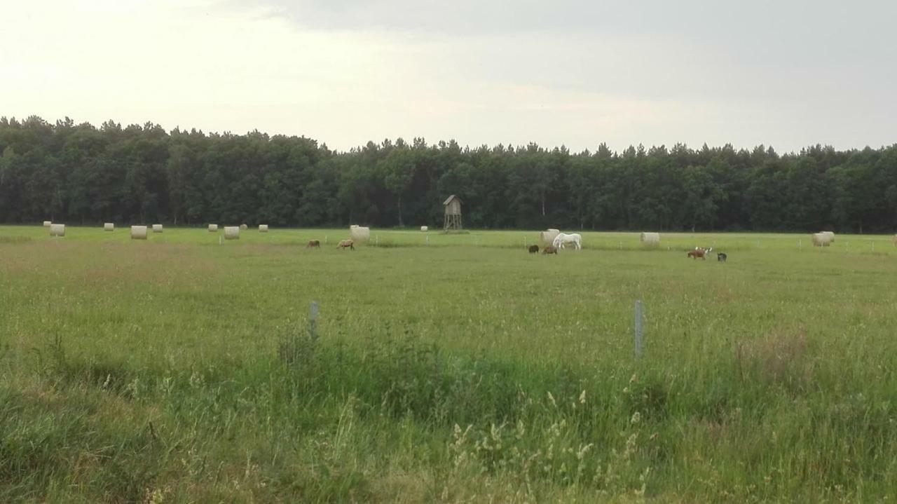 Holiday home Ferien Auf Dem Lande Leopoldshagen